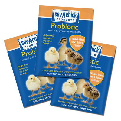 Sav A Chick Probiotic 20ct