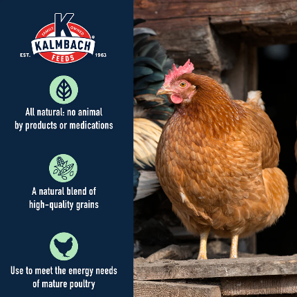 Scratch 5 Grain Non GMO All Natural 50 lb