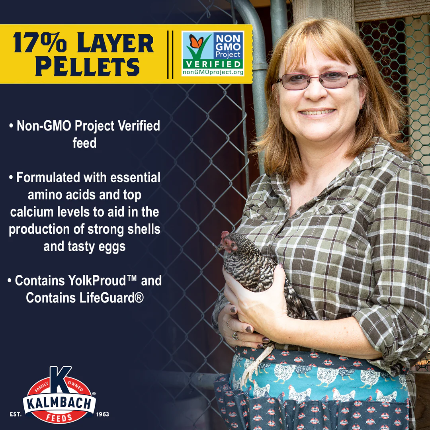 Layer Pellet 17% Non GMO All Natural 50lb