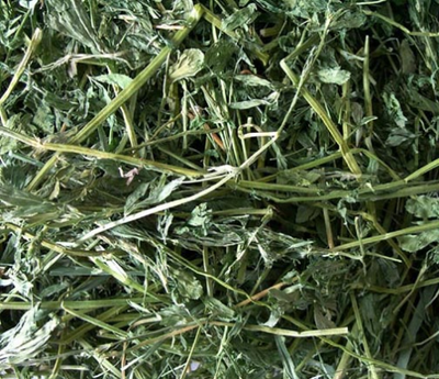 Hay Idaho Alfalfa Orchard Mix 55 lb Bale