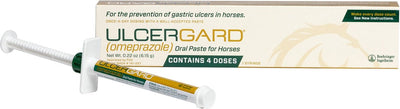 Ulcergard Oral Paste