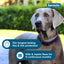 Seresto Flea and Tick Collar for Dogs over 18 lbs