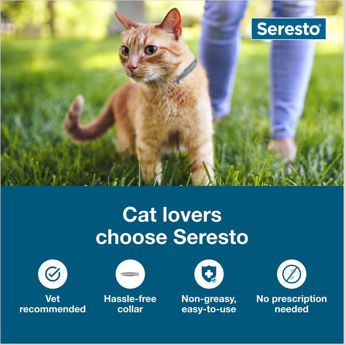 Seresto Flea and Tick Collar for Cats & Kittens