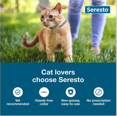 Seresto Flea and Tick Collar for Cats & Kittens