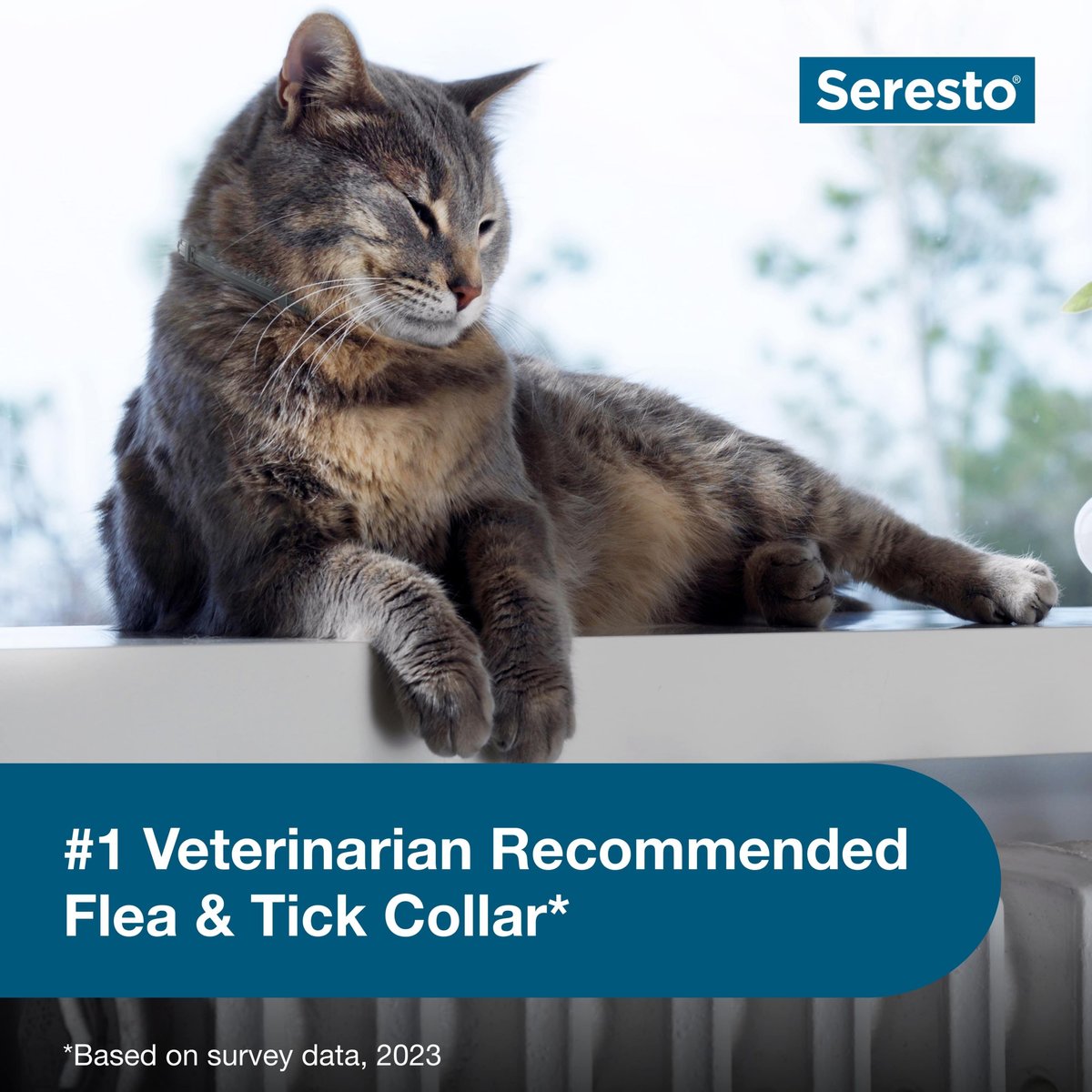Seresto Flea and Tick Collar for Cats & Kittens