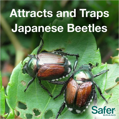 Safer Japanese Beetle Trap & Bait