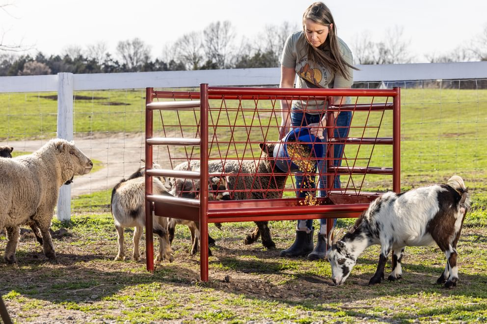 Behlen ArmorGuard All In One Feeder 4'