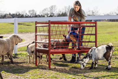 Behlen ArmorGuard All In One Feeder 4'