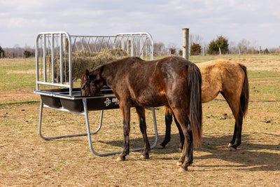 Behlen Equine Ace Horse Feeder