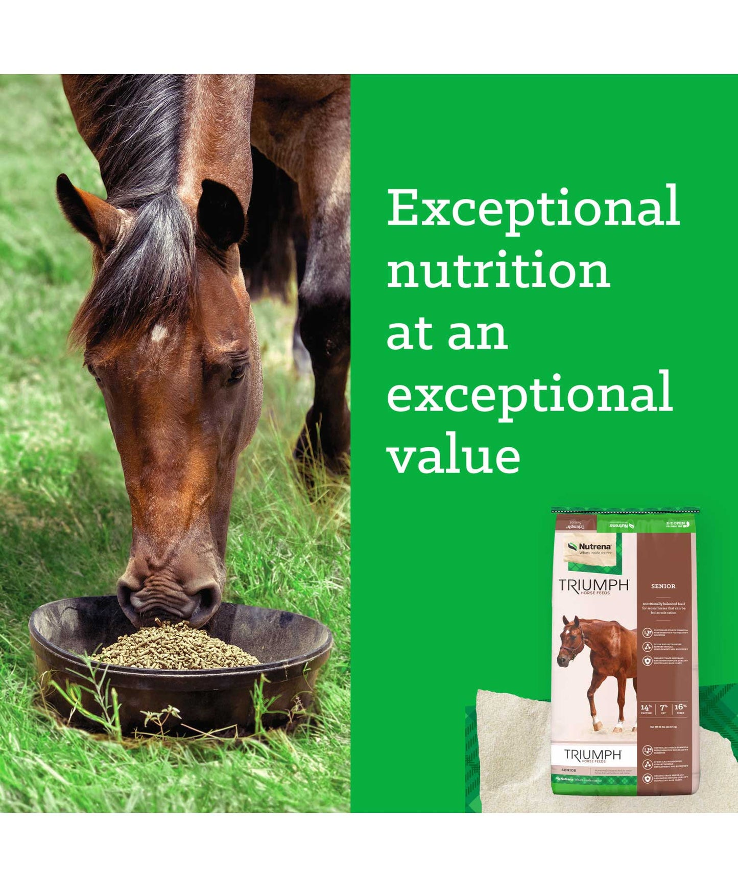 Nutrena Triumph 14% Senior Horse Feed 50-lbs