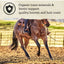 Nutrena Triumph 14% Senior Horse Feed 50-lbs
