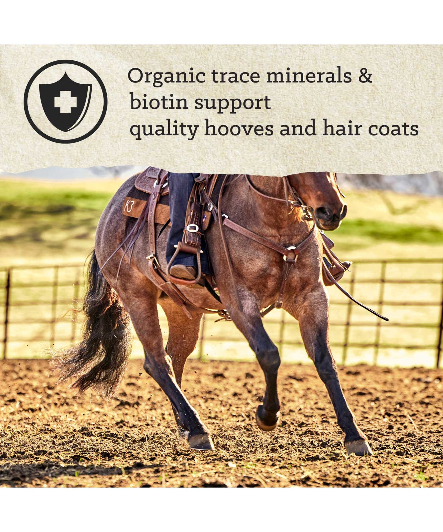 Nutrena Triumph 14% Senior Horse Feed 50-lbs
