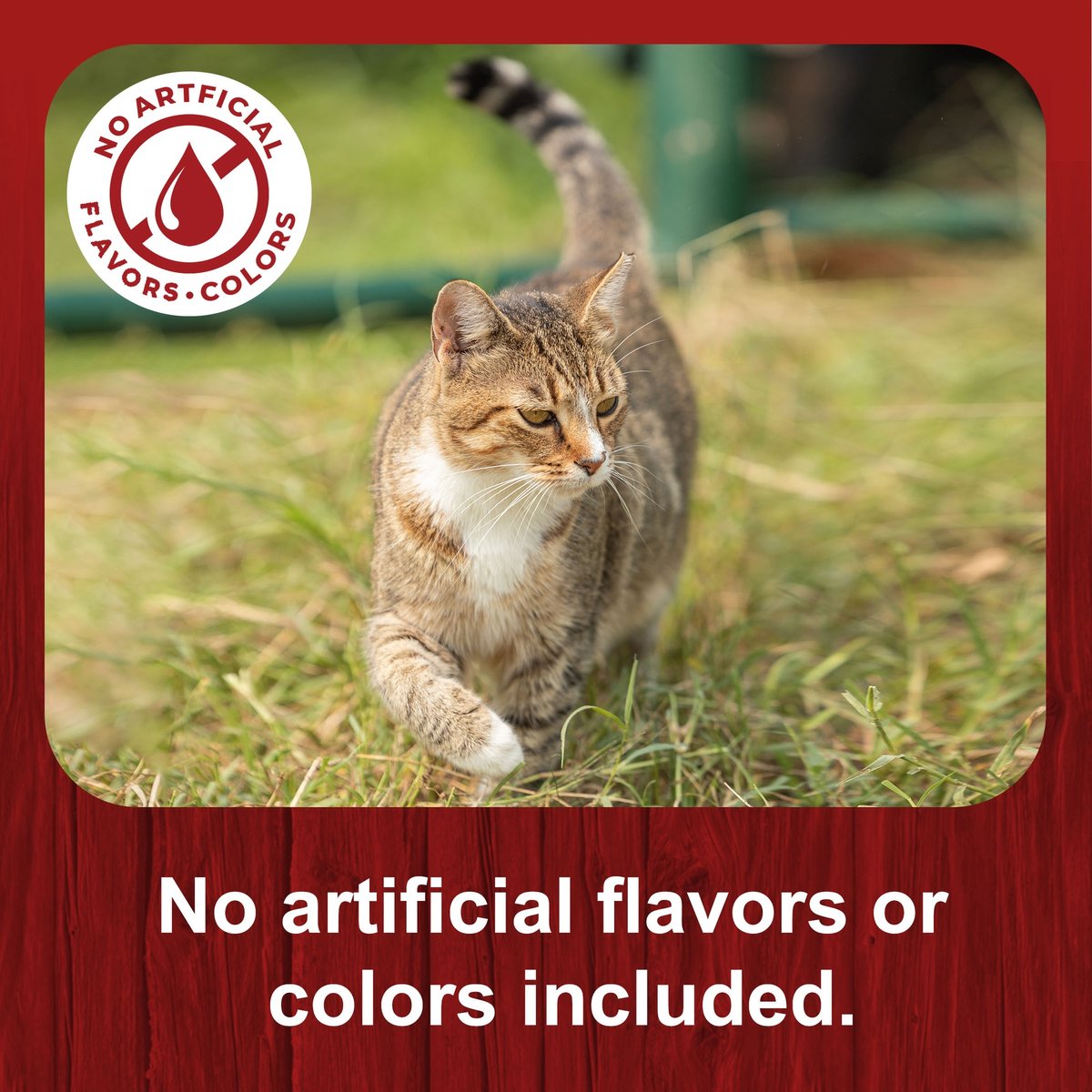 Big Red Cat Feed 40-lbs
