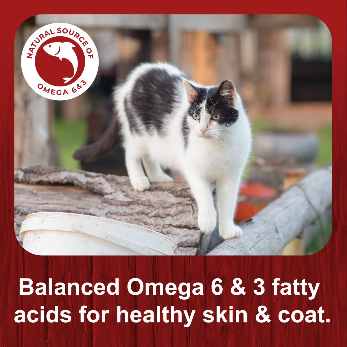 Big Red Cat Feed 40-lbs