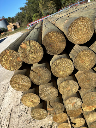 Treated Pine Wood Post