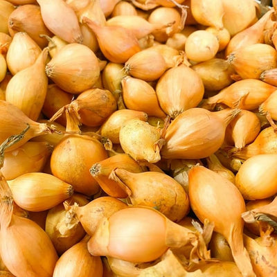 Onion sets Yellow ounce