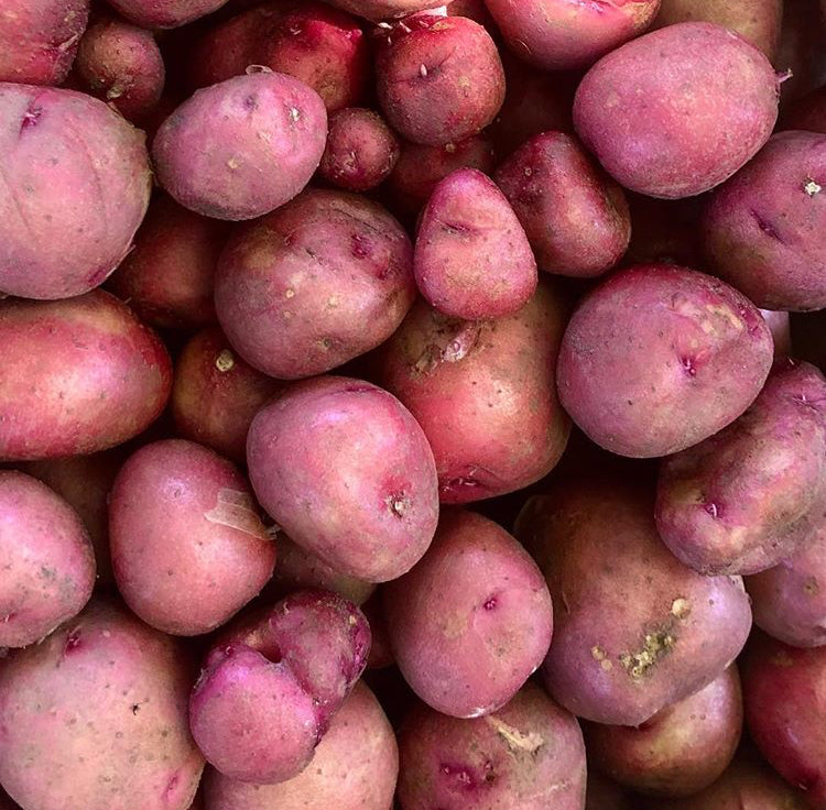 Potatoes Seed