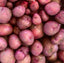 Potatoes Seed