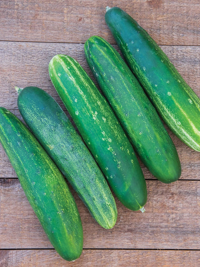 Cucumber Straight Eight ounce