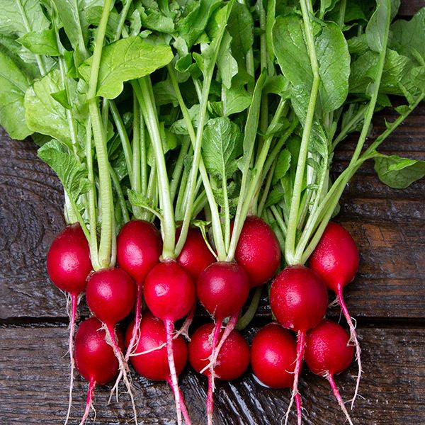 Radish Cherry Belle ounce