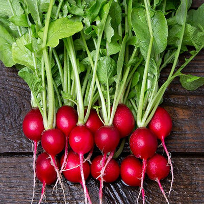 Radish Cherry Belle ounce