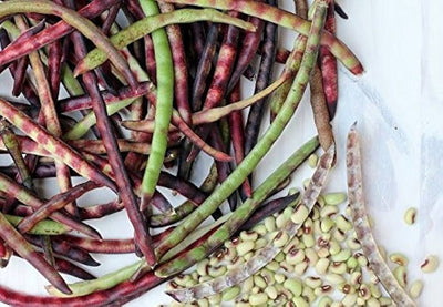 Pea Mississippi Pinkeye Purple Hull