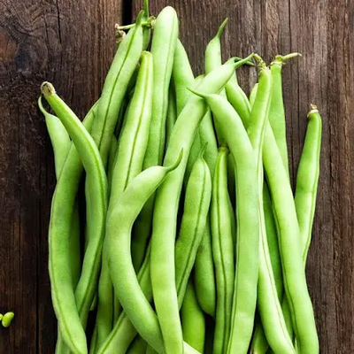 Bean Contender Bush ounce
