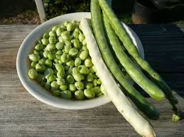 Pea Zipper Cream
