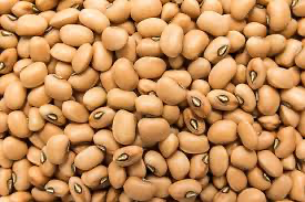 Pea Mississippi Brown Crowder