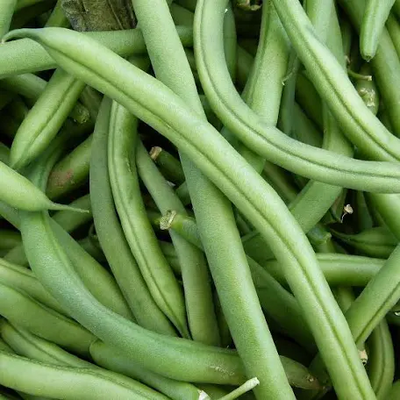 Bean Blue Lake Pole