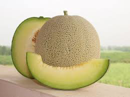 Cantaloupe Rocky Ford Green