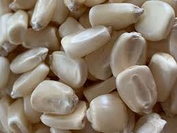 Corn Mosby Prolific White