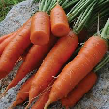 Carrot Red Chantenay