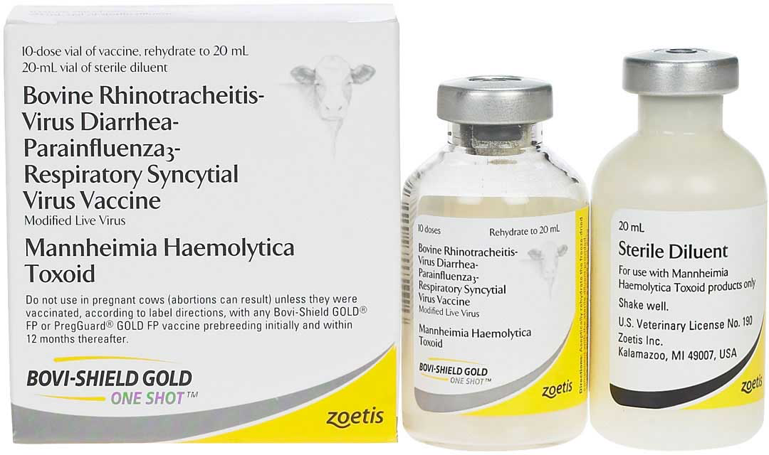 Bovi Shield Gold Cattle Vaccine 10 dose