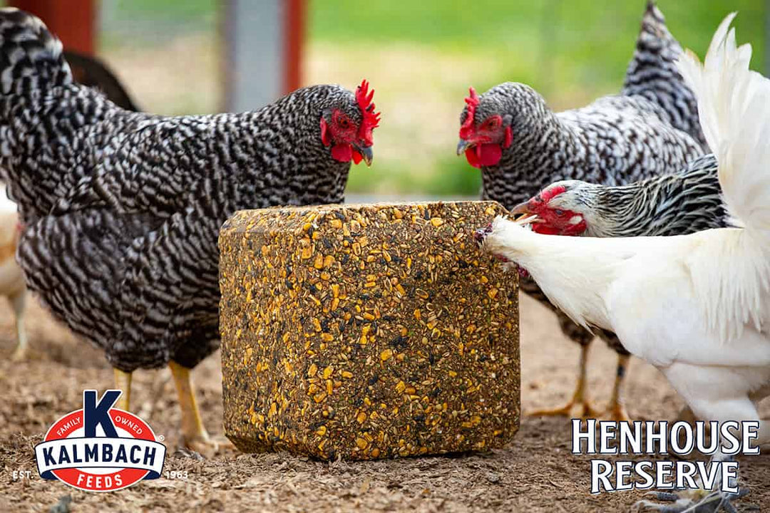 Henhouse Reserve Poultry Supplement Block 20-lbs
