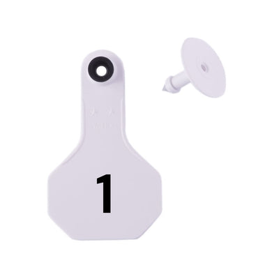 Y Tex Numbered 2 Piece Tags White