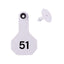 Y Tex Numbered 2 Piece Tags White