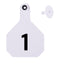 Y Tex Numbered 2 Piece Tags White