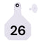 Y Tex Numbered 2 Piece Tags White