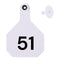Y Tex Numbered 2 Piece Tags White