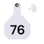 Y Tex Numbered 2 Piece Tags White