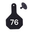 Y Tex Numbered 2 Piece Ear Tags Black