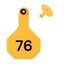 Y Tex Numbered 2 Piece Ear Tags Yellow