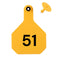 Y Tex Numbered 2 Piece Ear Tags Yellow