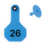 Y Tex Numbered 2 Piece Ear Tags Blue