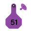 Y Tex Numbered 2 Piece Ear Tags Purple