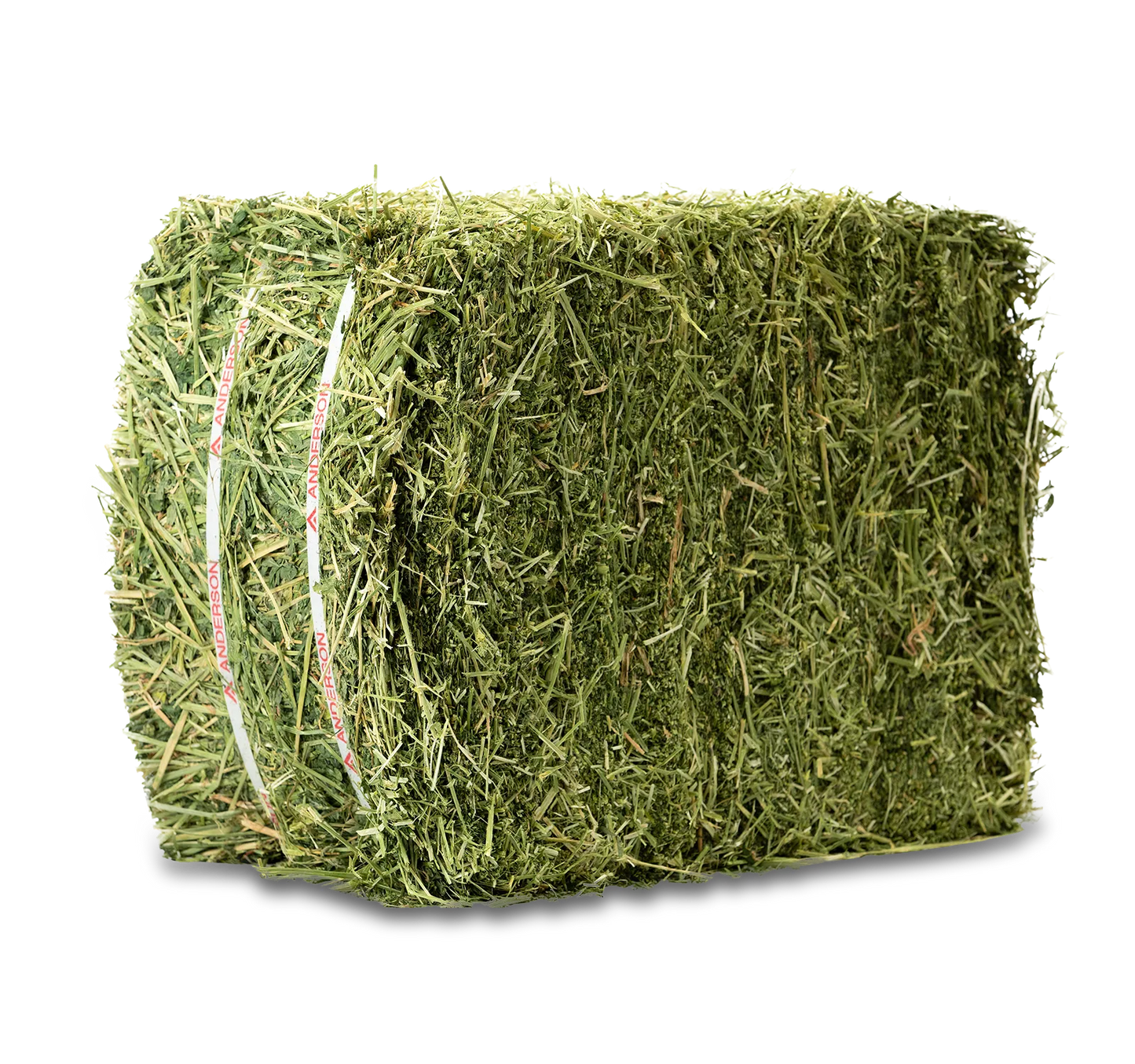 Hay Alfalfa Oregon Compressed Square Bale