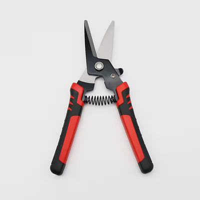 Hoof Rot Shears