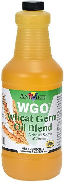 Wheat Germ Oil