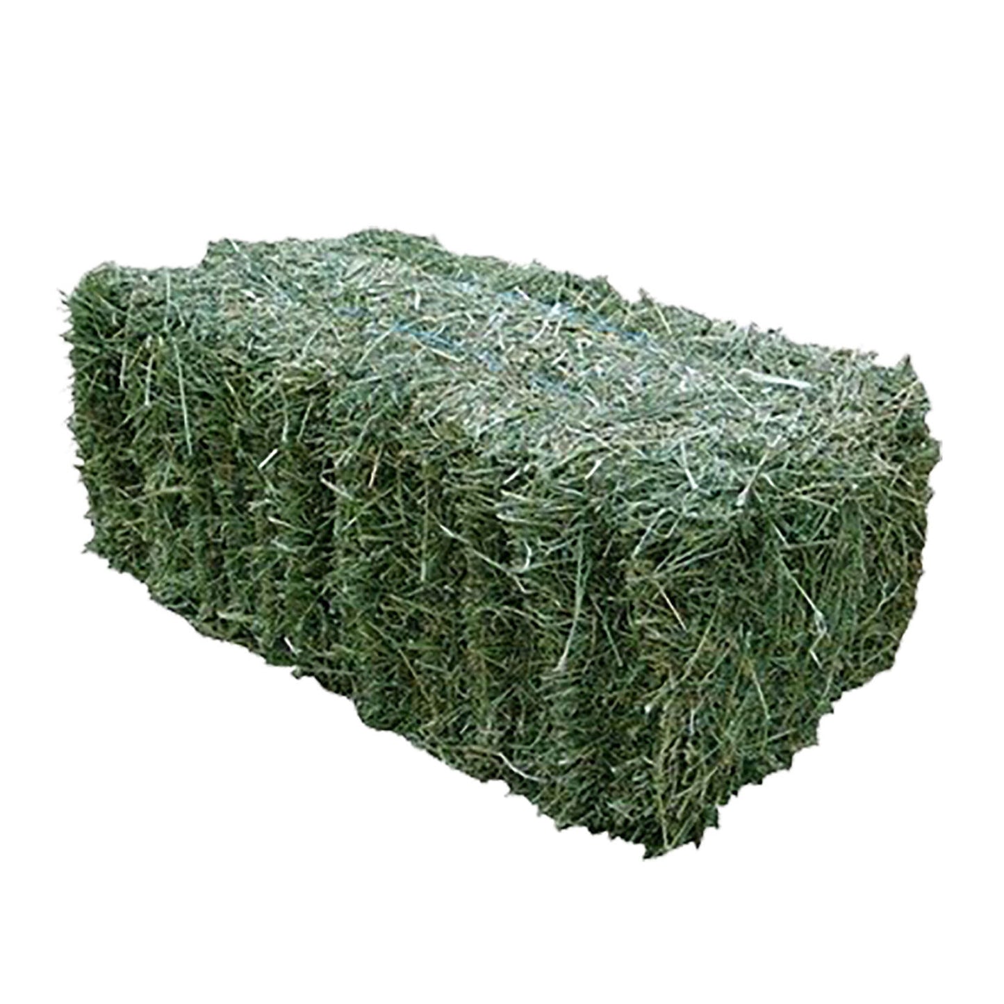 Hay Orchard Grass Idaho Square Bale